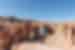 Travellers looking out over Charyn Canyon in southern Kazakhstan