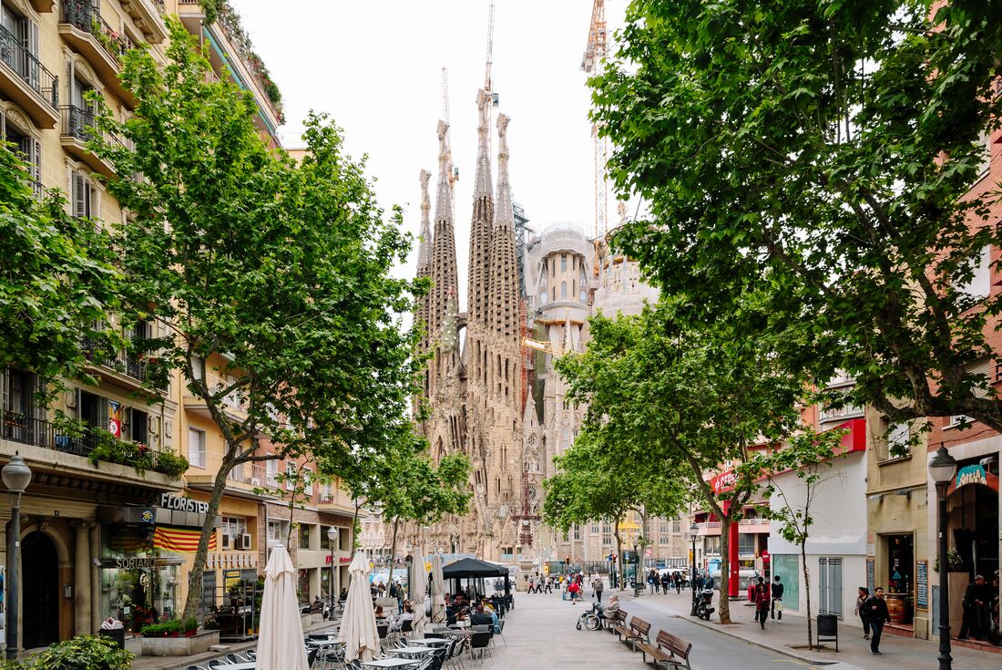 Sagrada Familia exterior framed by trees from a street in Barcelona