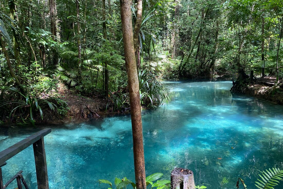 The glistening Raja Ampat Blue River in Indonesia