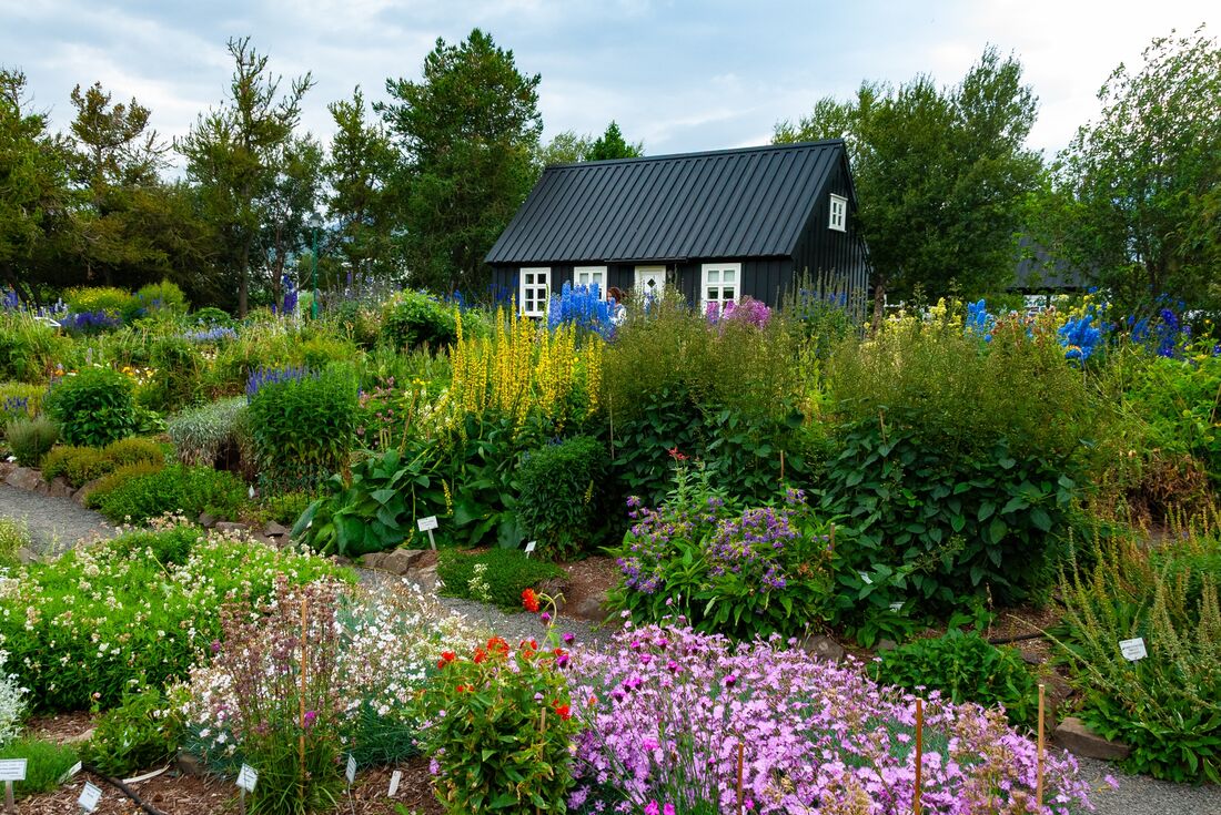 The curious botanical gardens of Akureyri, the first in Iceland, nestled in a valley of northern Iceland