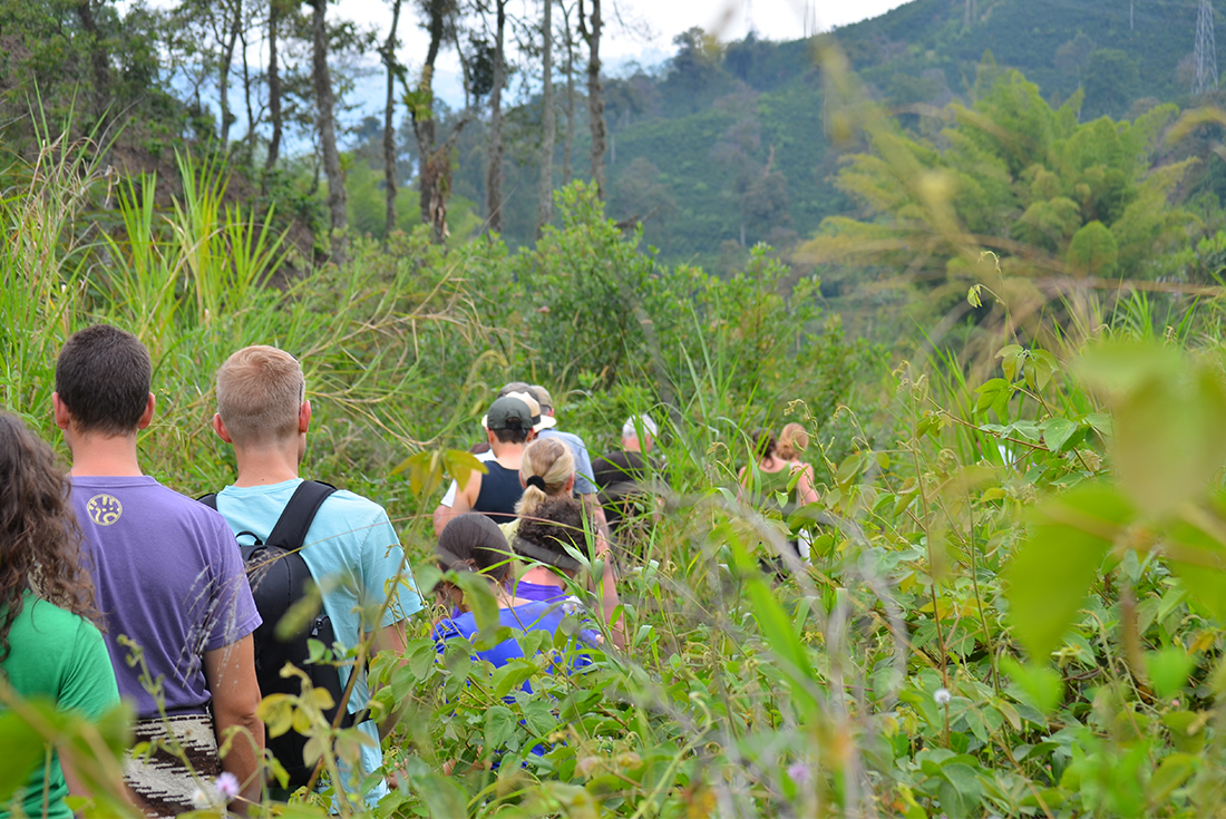 colombia cocora hike pax line