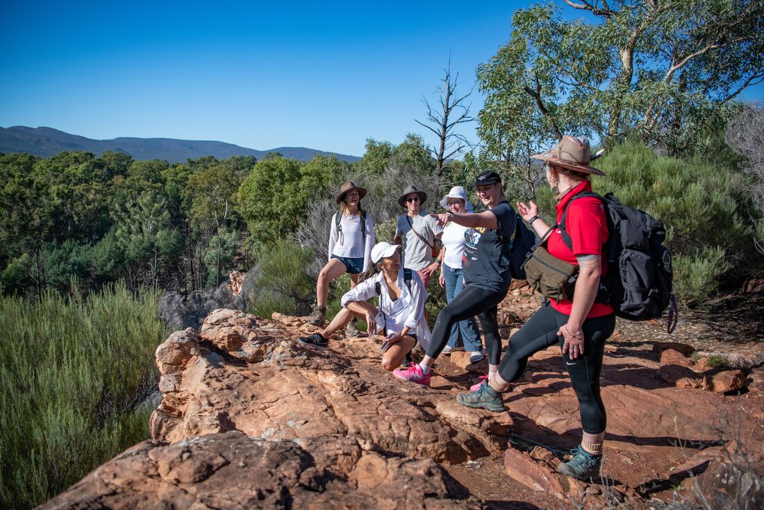 Travellers point out into the distance during a hike in Wilpena Pound
