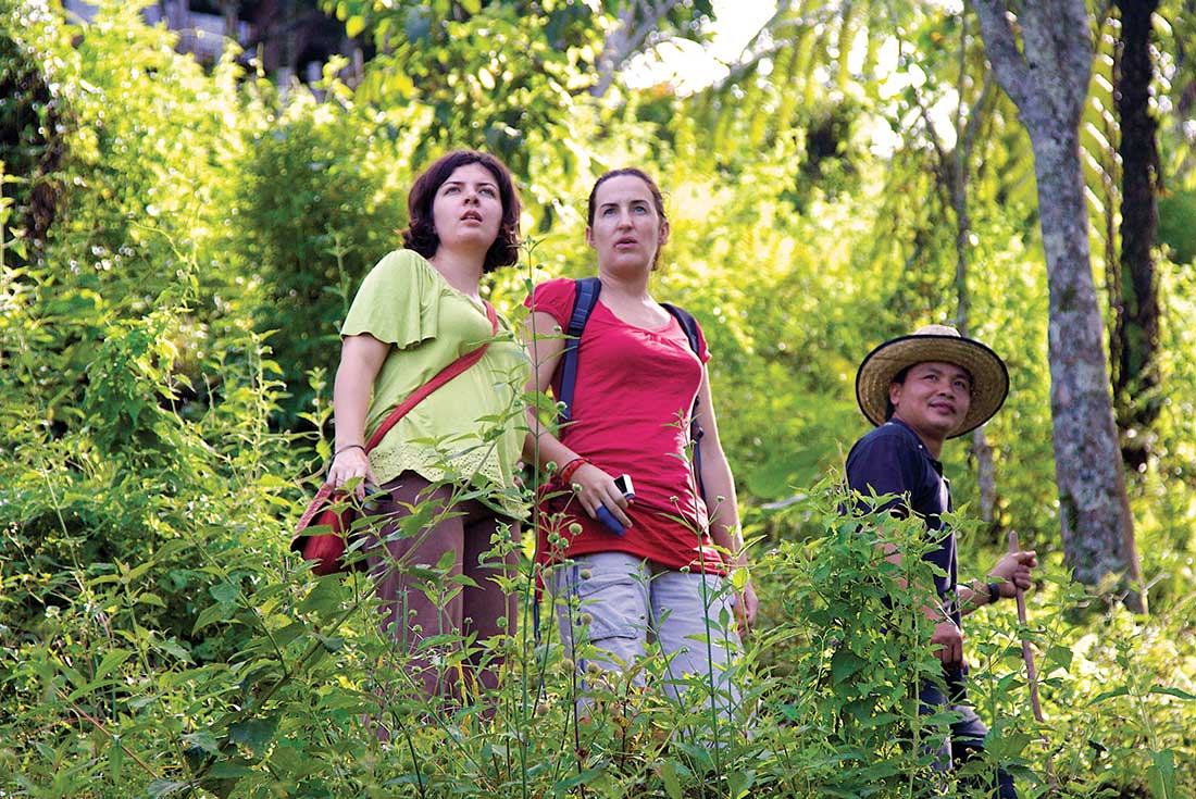 Hiking through the Sepilok rainforest with local leader, Borneo