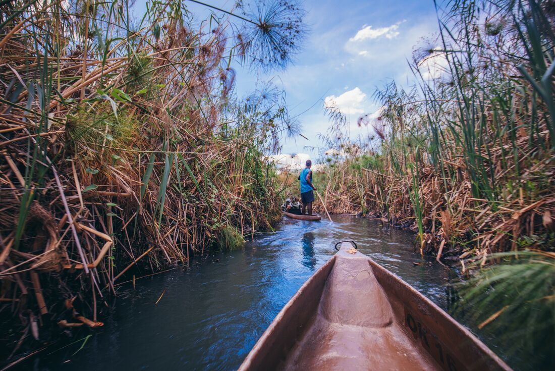 botswana okavango