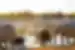 Elephants play in a watering hole of Etosha National Park while giraffes approach behind them