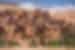 Ancient earthen city of Ait Benhaddou stacks up the hill of the desert in Morocco