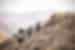 Witness the Nuratau Mountains Uzbekistan with Intrepid Travel
