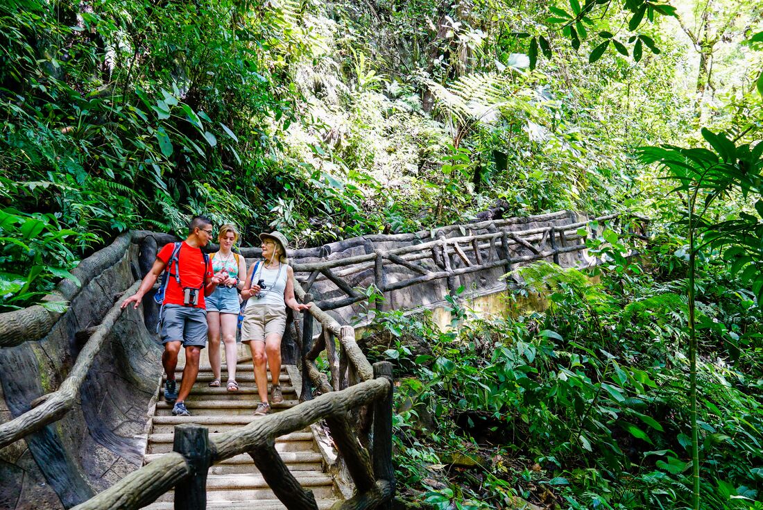 Traveller group with leader walking along bridge at La Fortuna Waterfall, Costa Rica