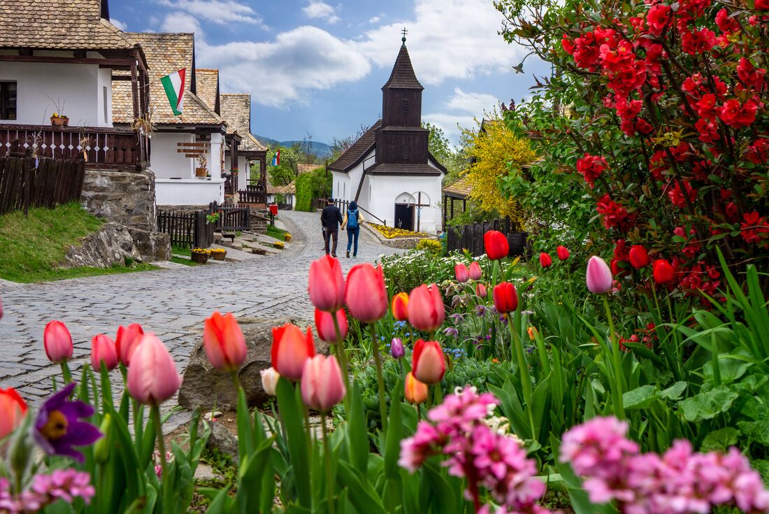 Travellers tour the streets of Holloko village with tulips blooming in spring among the traditional buildings in Slovakia