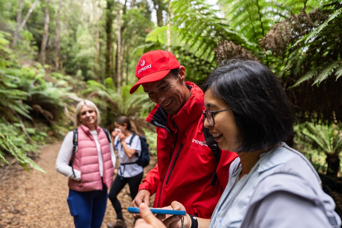 Intrepid traveller shows leader photos taken in the rainforest so far in Tarkine region of Tasmania
