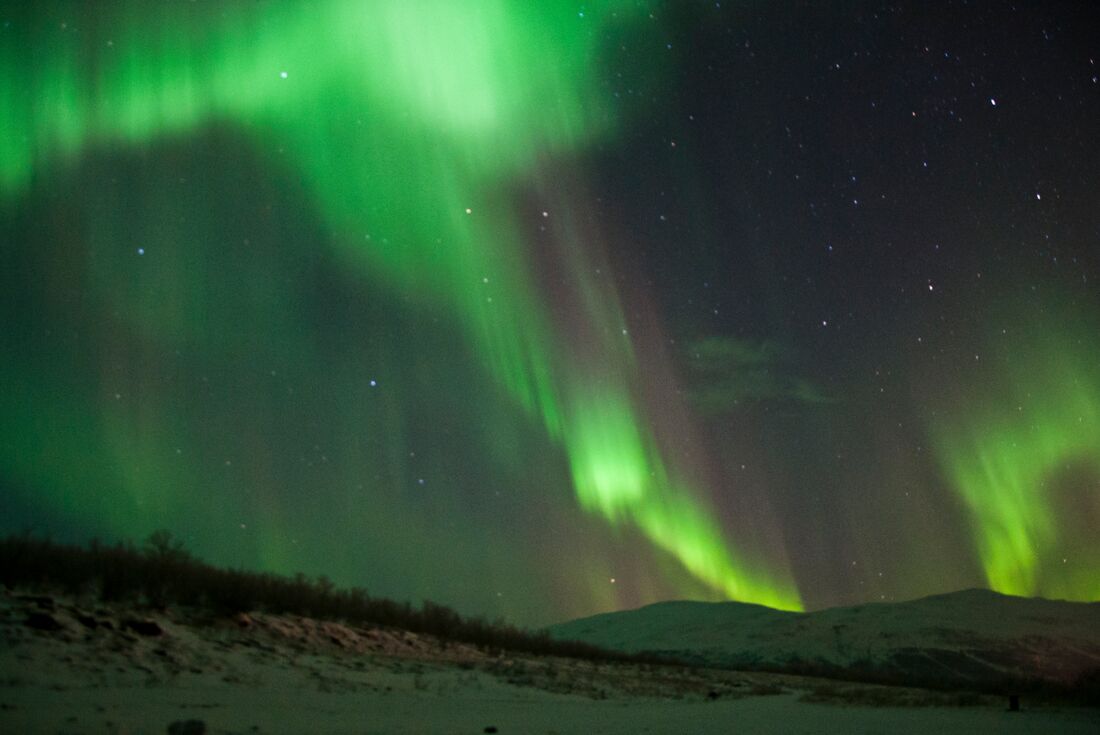 Nothern lights undulates glowing bright green over a night snowy landscape in Swedish Lapland