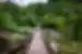 Boquete lost waterfalls path into the jungle in Panama