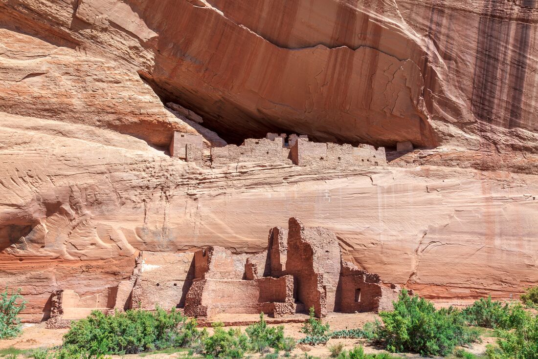 White House ruins next to rock formations at Canyon de Chelly with green shrugs in the foreground, Arizona, USA