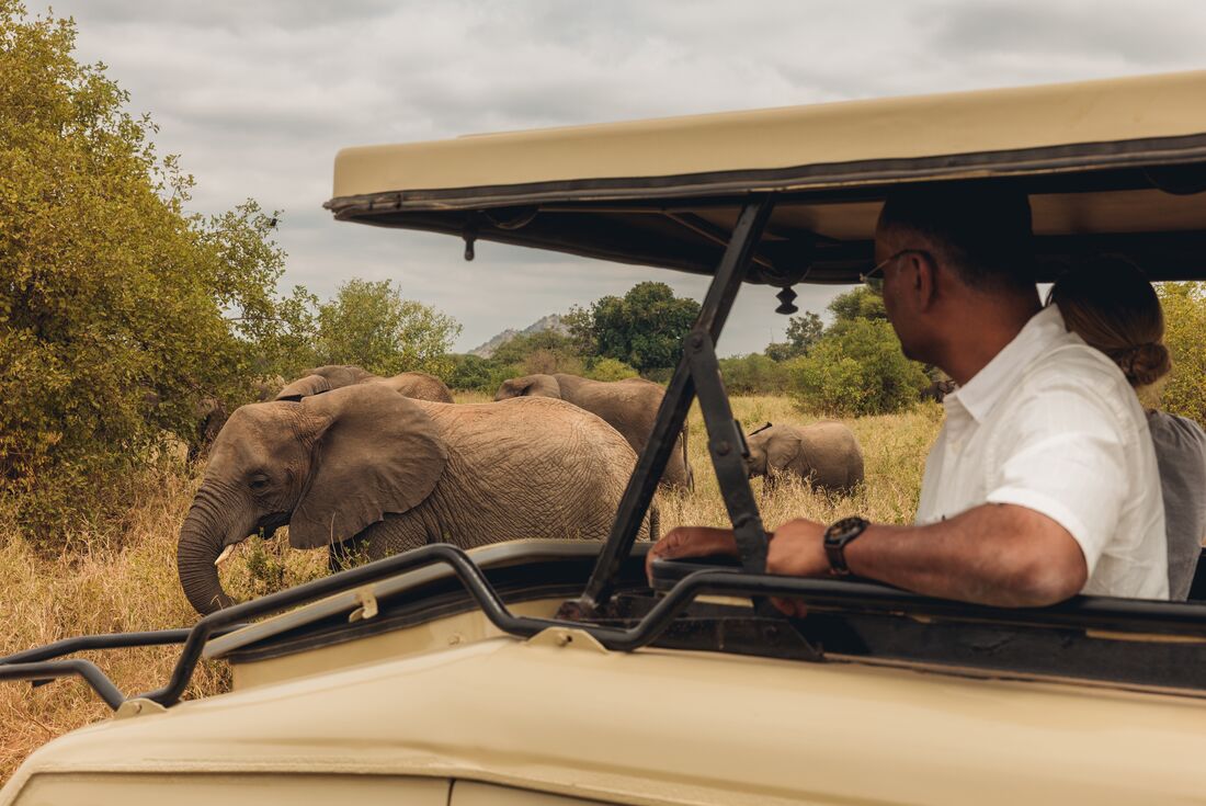 Close encounters with an elephant herd in Tarangire National Park