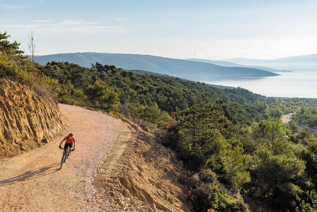 Mountain biker