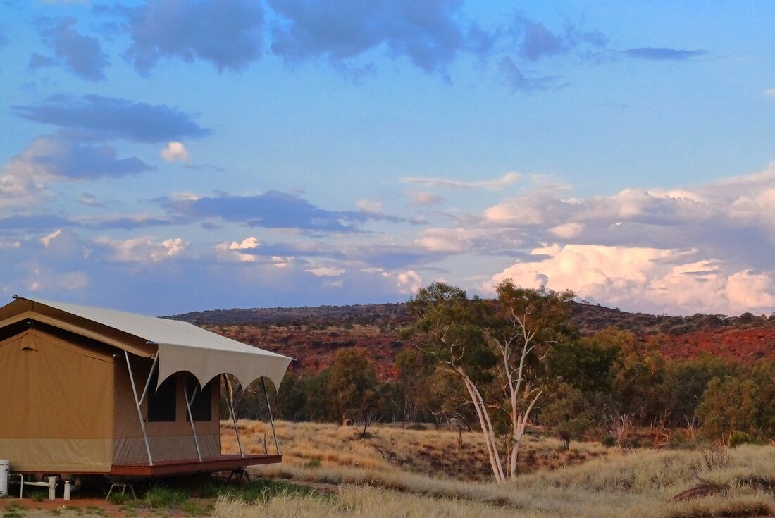 Soft sunset colours hit the greens and oranges of the NT scrub with a tent on the left in Australia