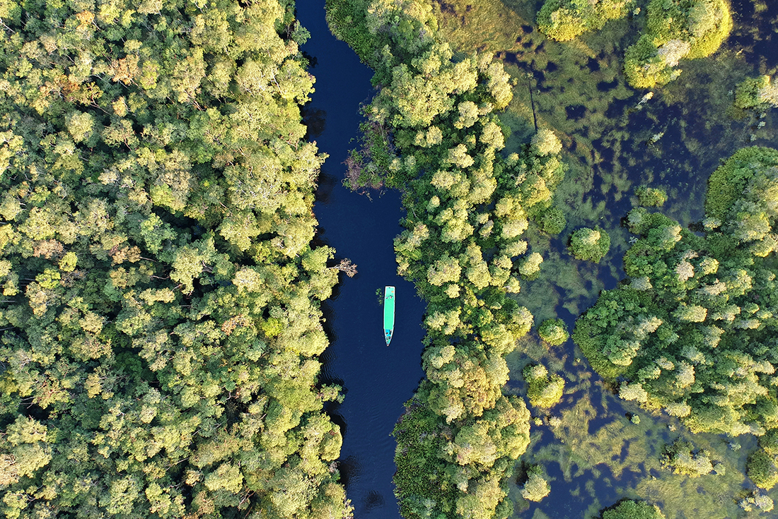 aerial-view_indonesia_tanjung_puting