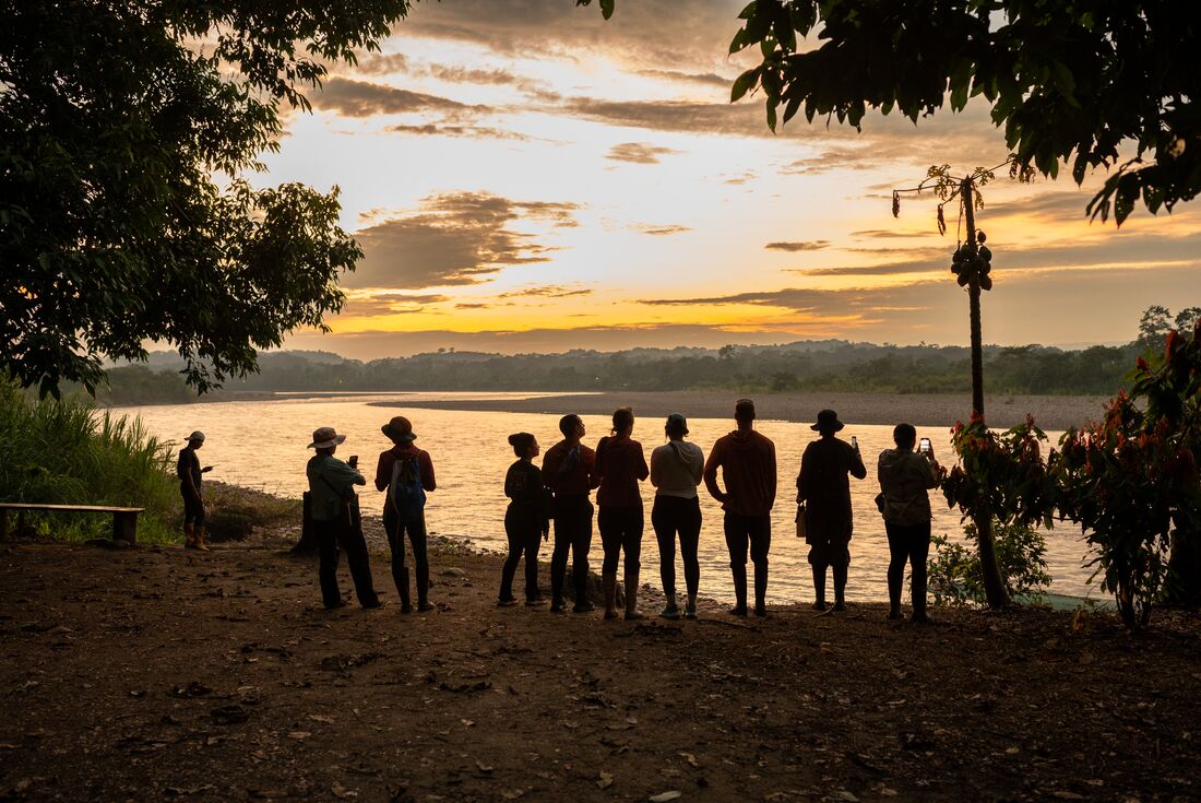 Travellers looking out over the amazon rainforest and river at sunset