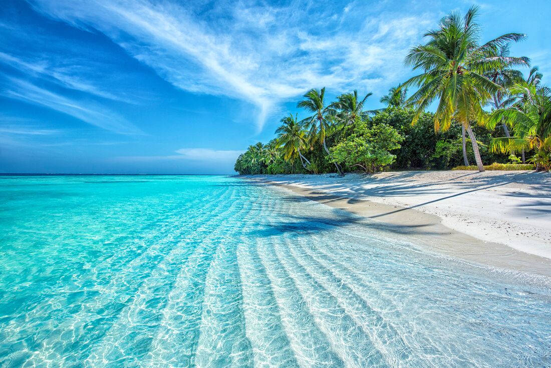 Crystal clear waters of a beach in the Maldives