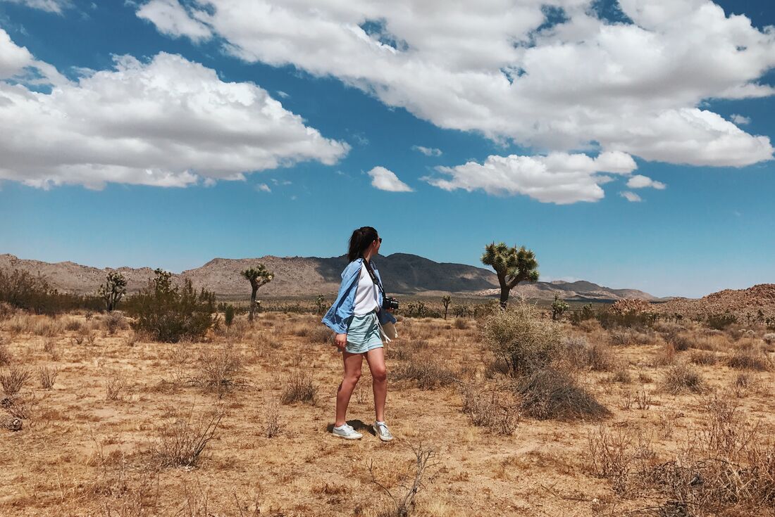 Intrepid traveller looks around at the alien landscape of Joshua Tree National Park