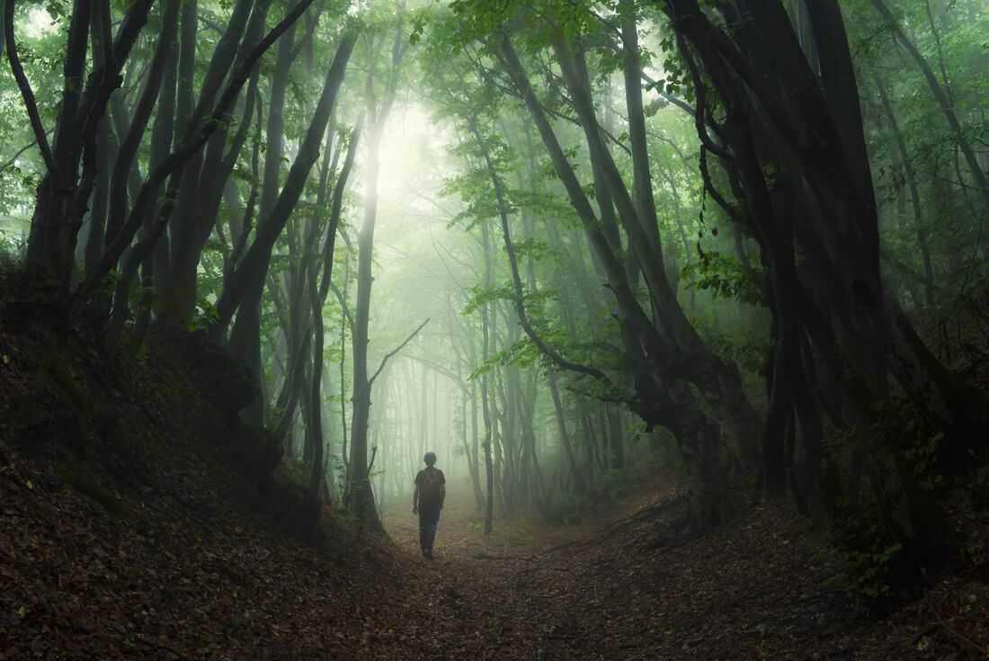 Traveller hiking through Romania's foggy forests on the Transilvanica Trail