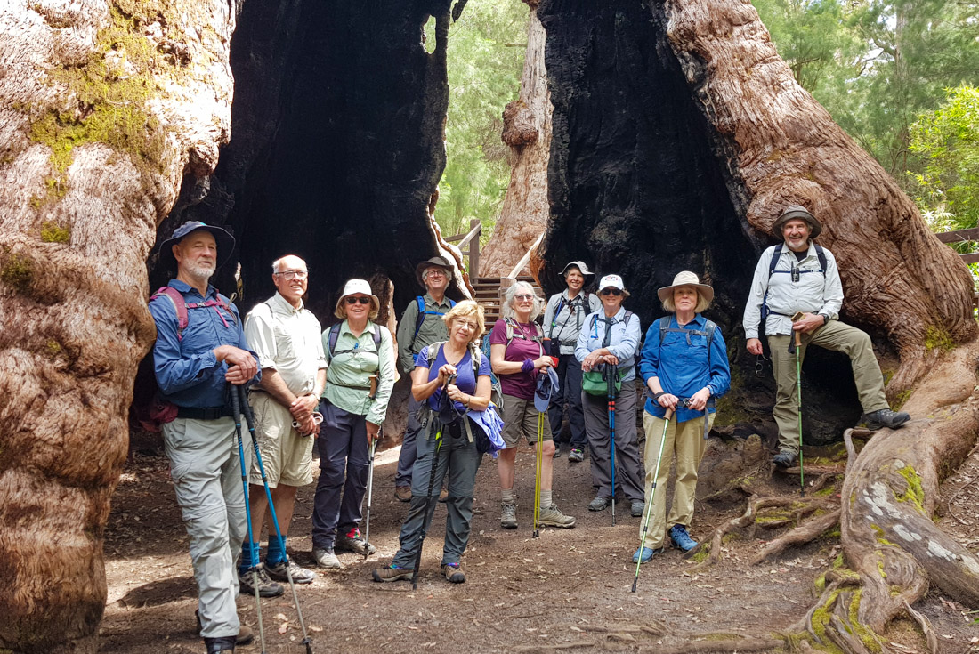 Travellers at the start of the Bibbulmun Track pose in the hollow of a massive tree in Western Australia