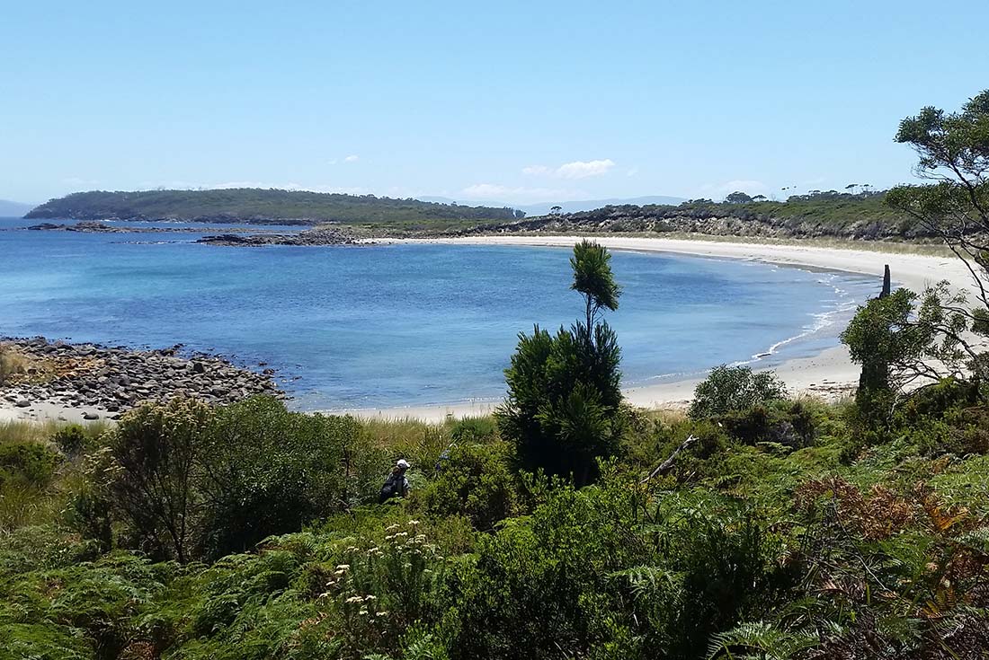 View along the Fluted Capes walk on Bruny Island, Tasmania
