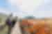 Intrepid travellers enjoy the view from Dubrovnik's city walls in Croatia